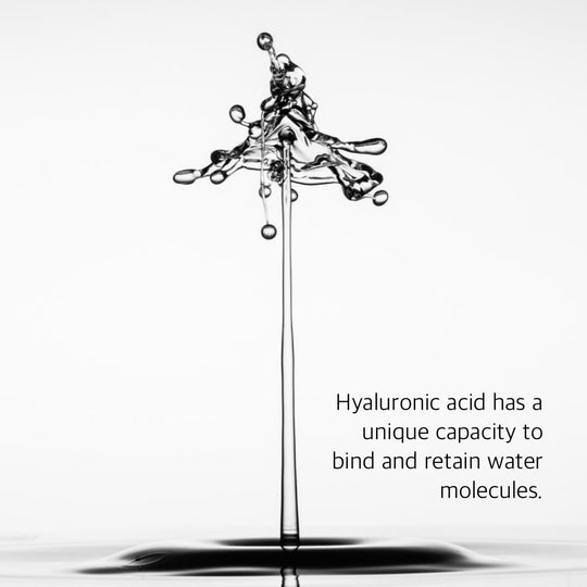AE-SC - HI-LO_H - HIGH & LOW WEIGHT HYALURONIC ACID SERUM
